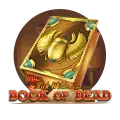Book of Dead at Supabet Casino