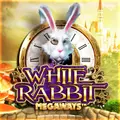 White Rabbit at Supabet Casino